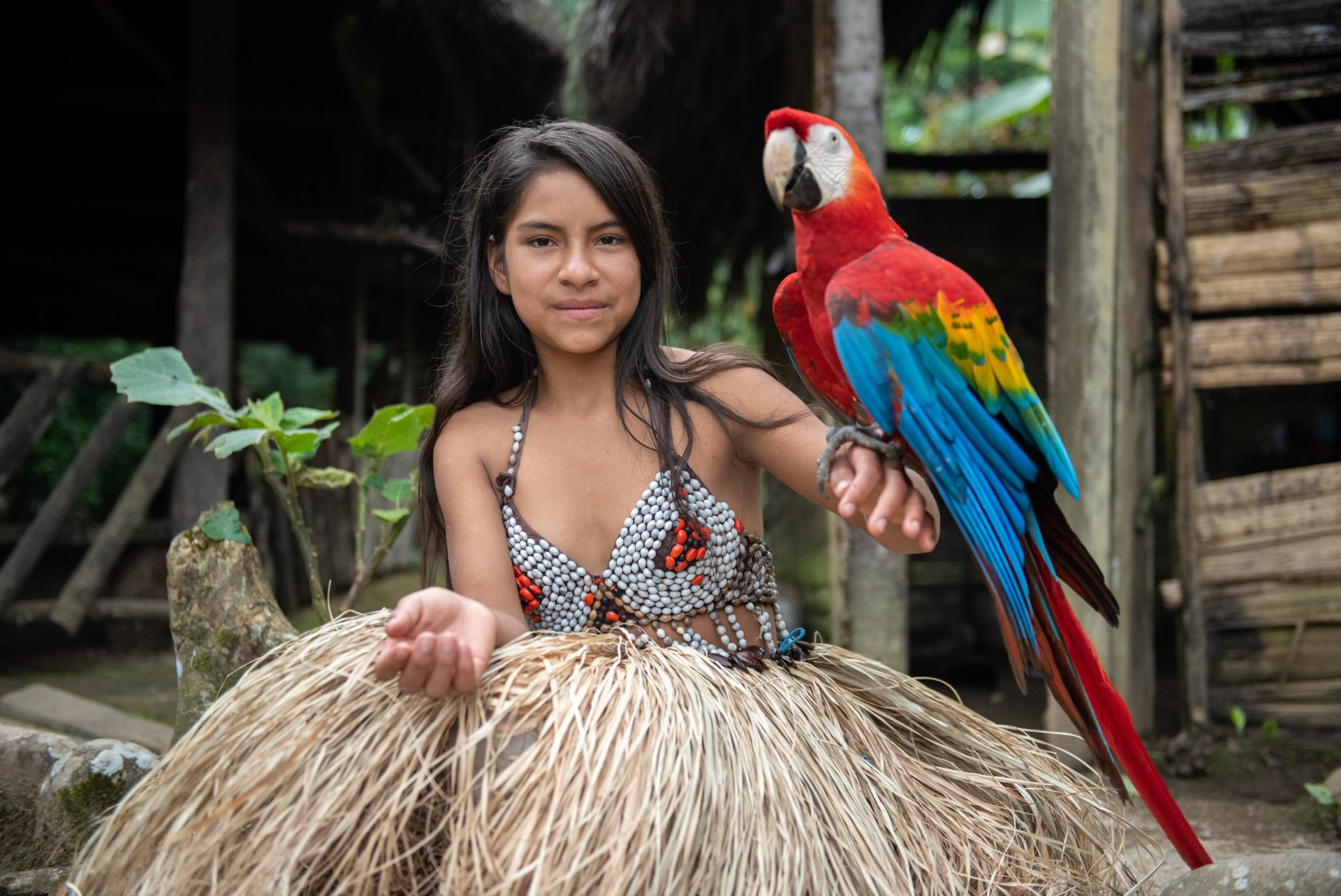 Amazonia
